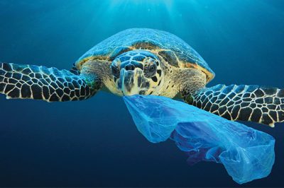 Ditch the Plastic